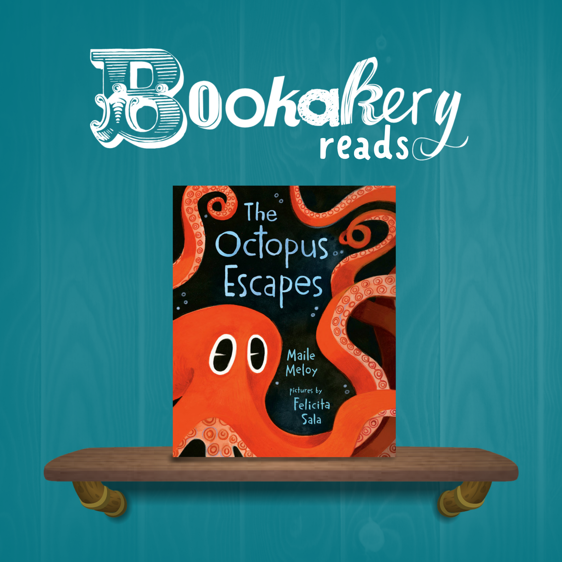 The Octopus Escapes Picture Book