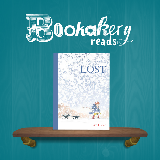 Lost Picture Book